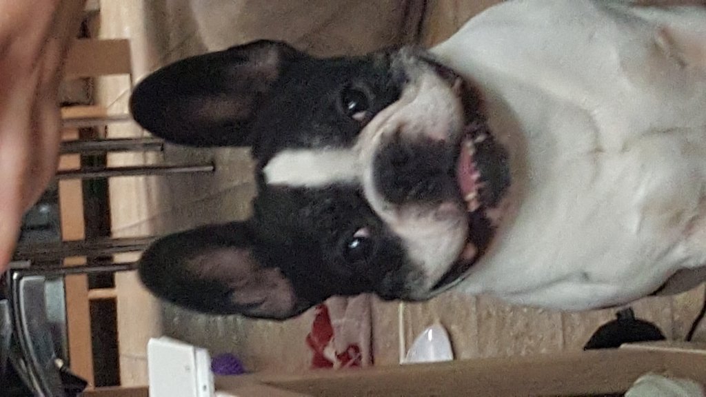 20180727_171529.jpg