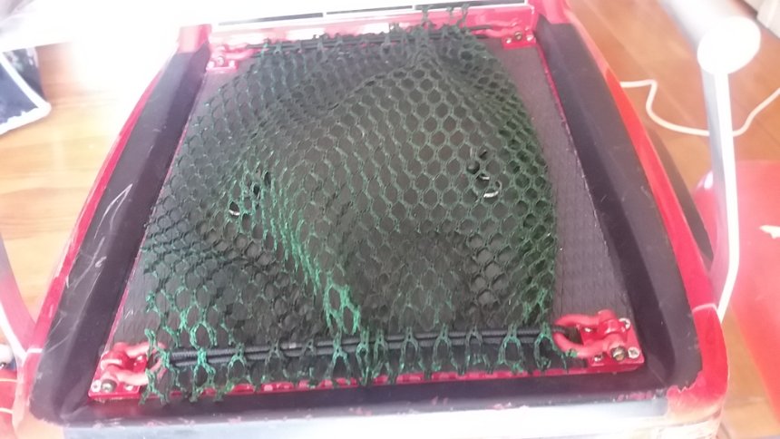 15637174785411487525322.jpg