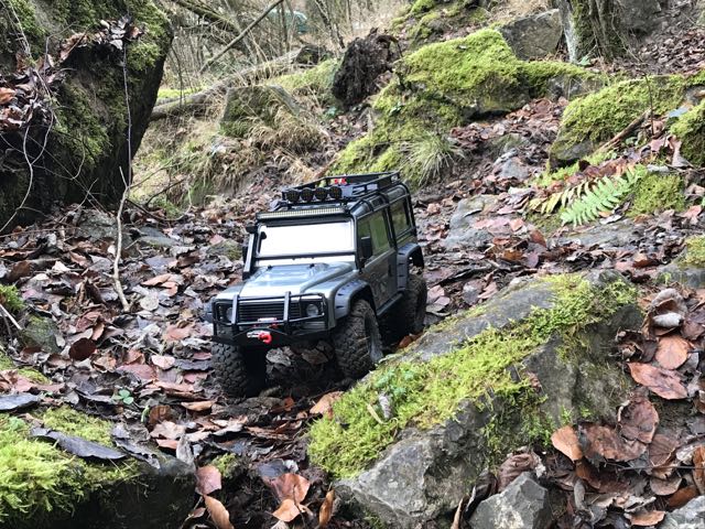 trx4 engis 1.jpg